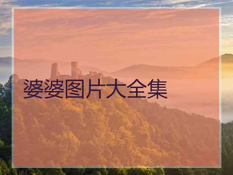 婆婆图片大全集