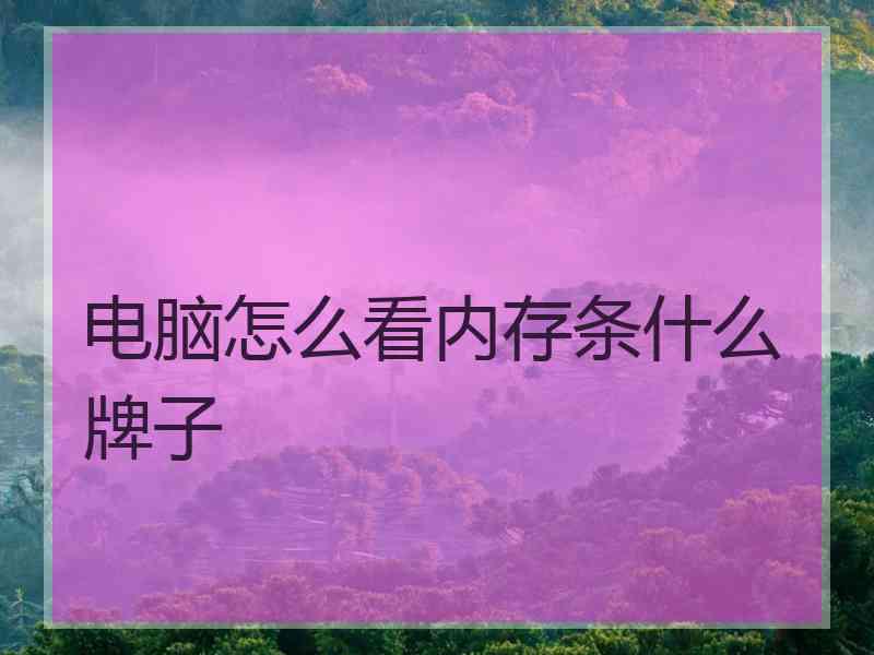 电脑怎么看内存条什么牌子