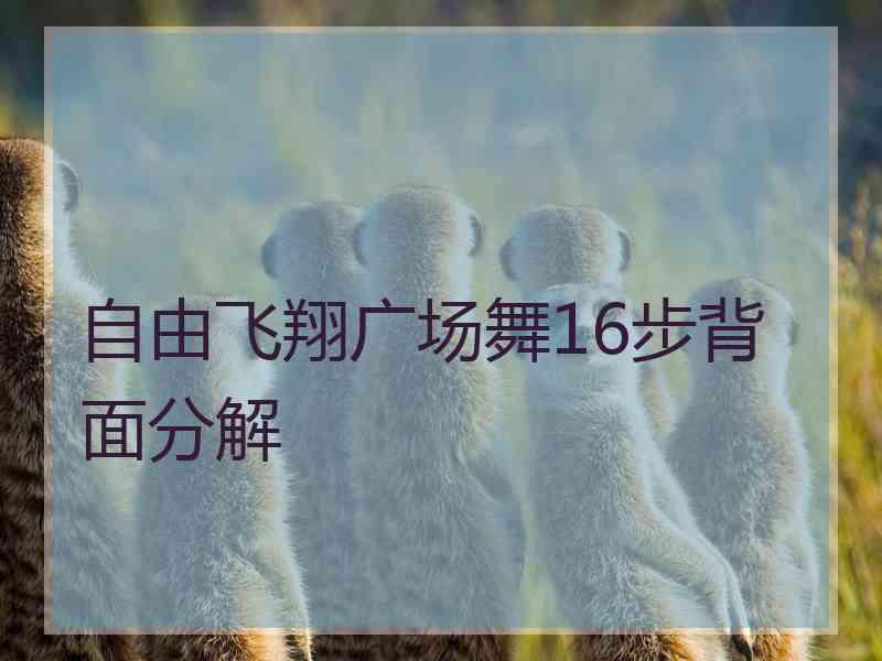 自由飞翔广场舞16步背面分解