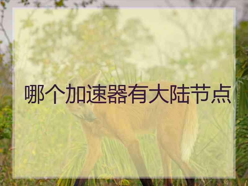 哪个加速器有大陆节点