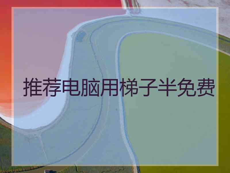 推荐电脑用梯子半免费