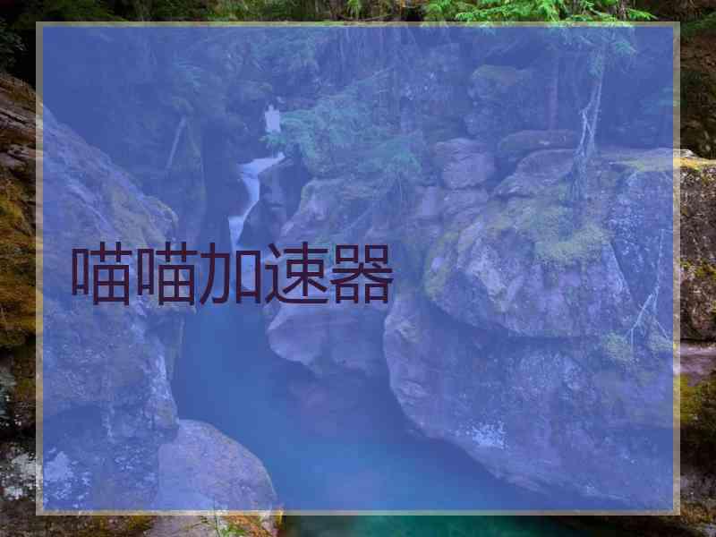 喵喵加速器