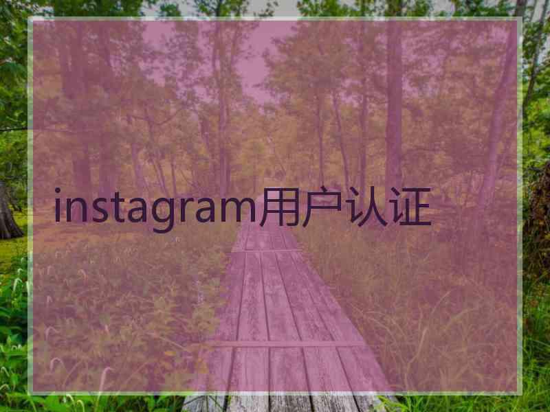 instagram用户认证