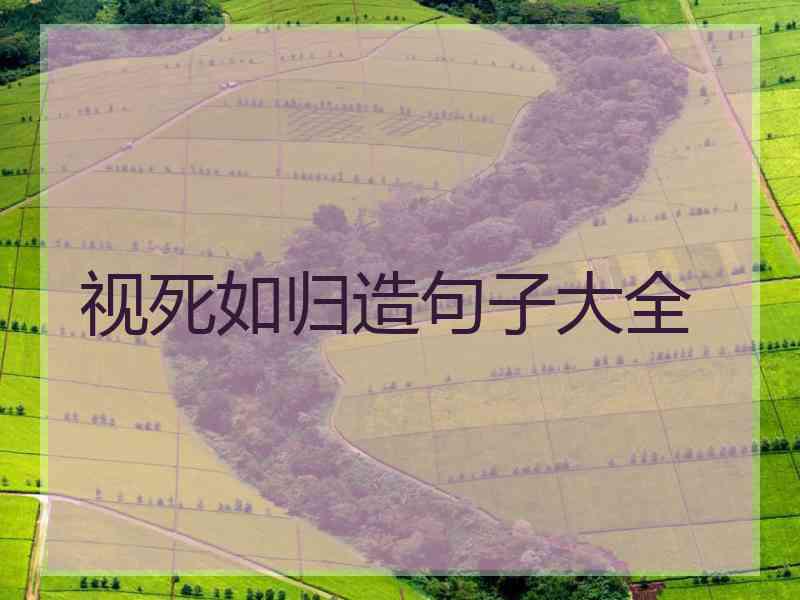 视死如归造句子大全