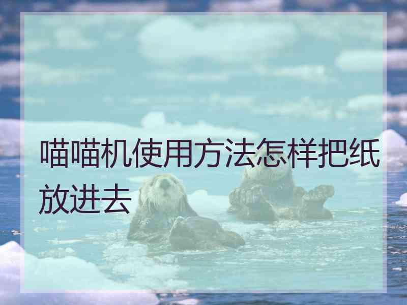 喵喵机使用方法怎样把纸放进去