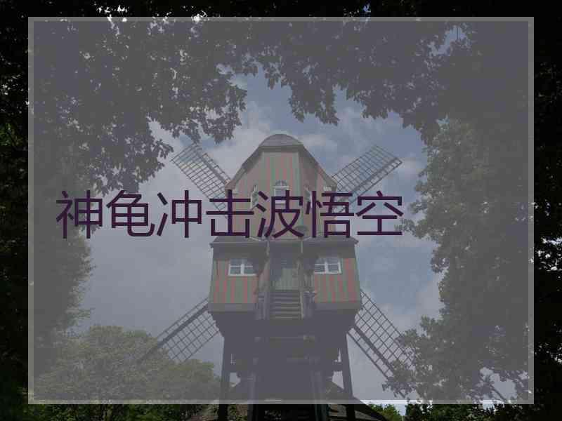 神龟冲击波悟空