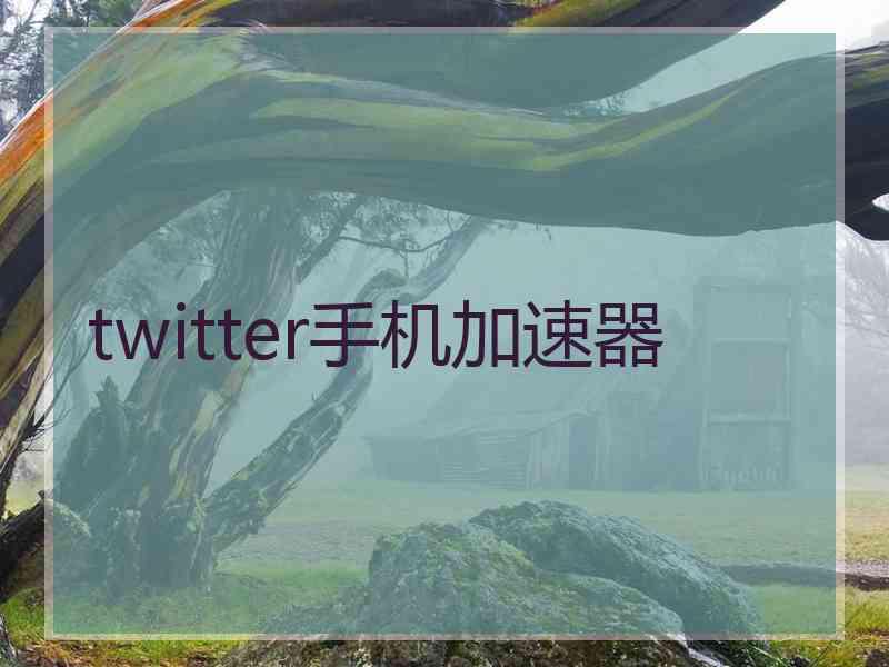 twitter手机加速器