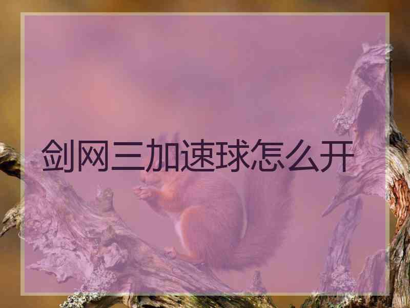 剑网三加速球怎么开