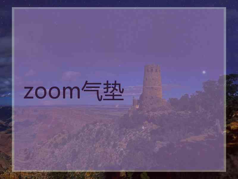 zoom气垫