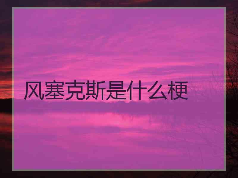风塞克斯是什么梗