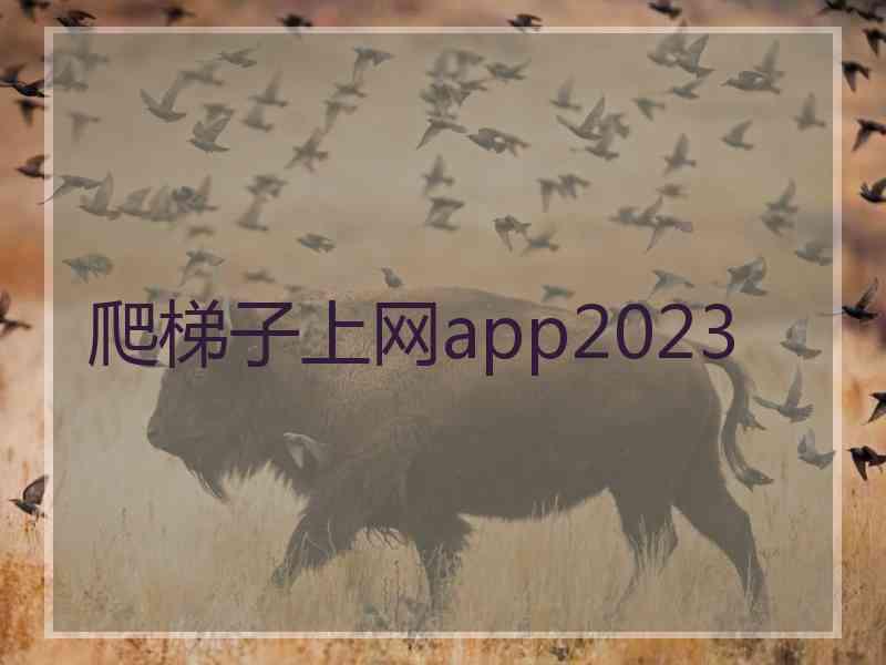 爬梯子上网app2023