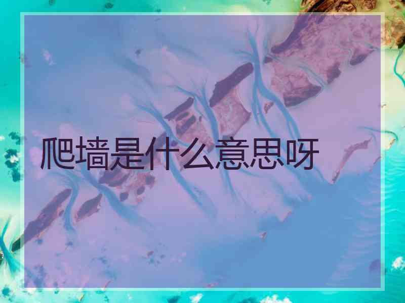 爬墙是什么意思呀