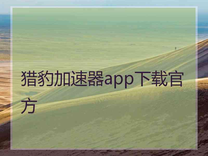 猎豹加速器app下载官方