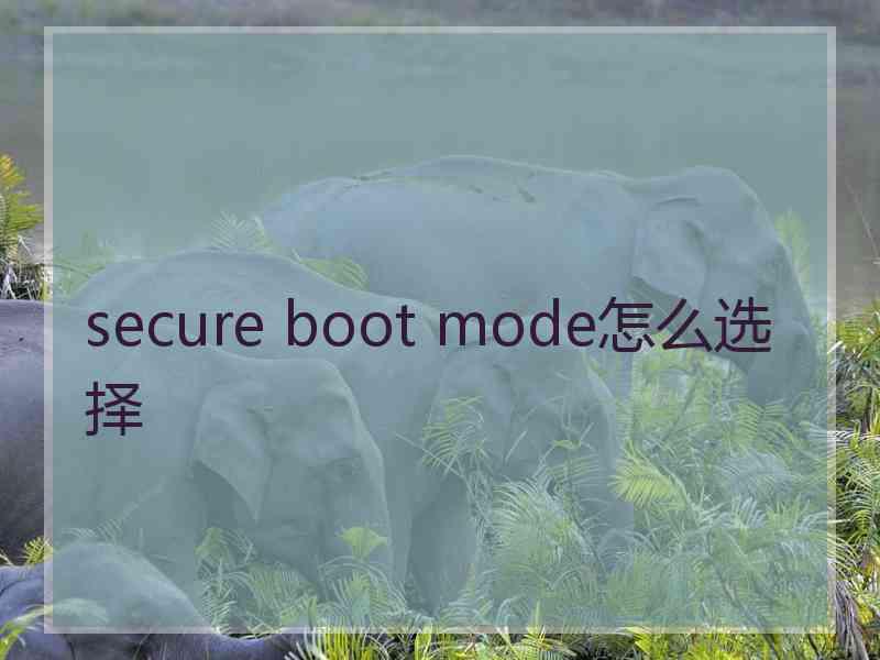 secure boot mode怎么选择