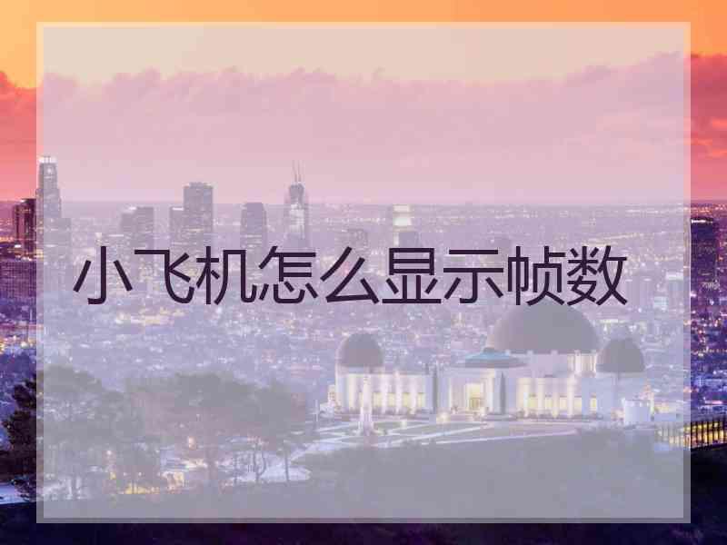 小飞机怎么显示帧数