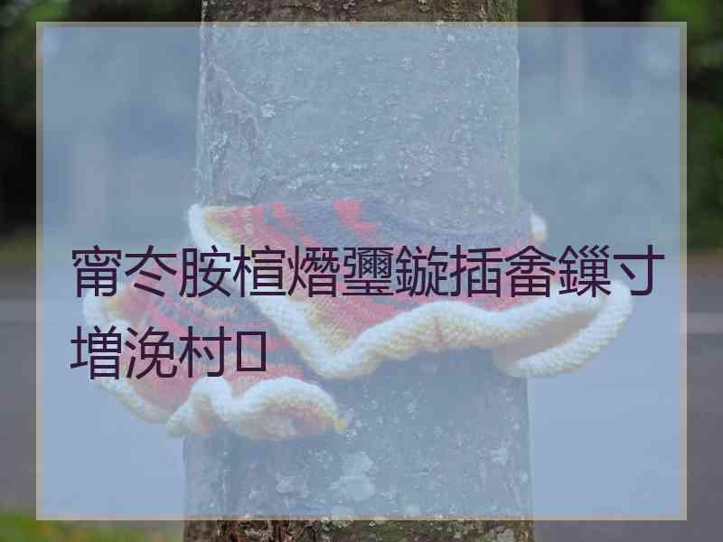 甯冭胺楦熸瓕鏇插畬鏁寸増浼村
