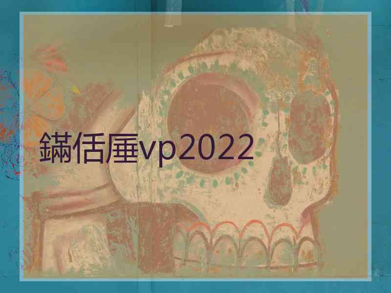 鏋佸厜vp2022