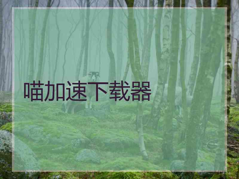 喵加速下载器