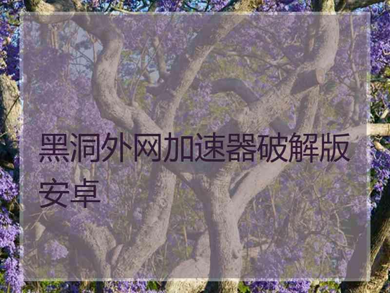 黑洞外网加速器破解版安卓