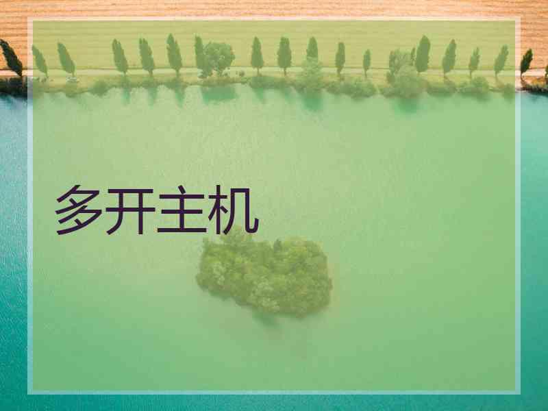 多开主机