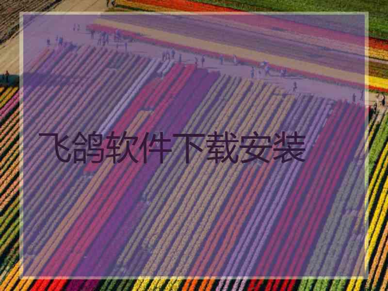飞鸽软件下载安装