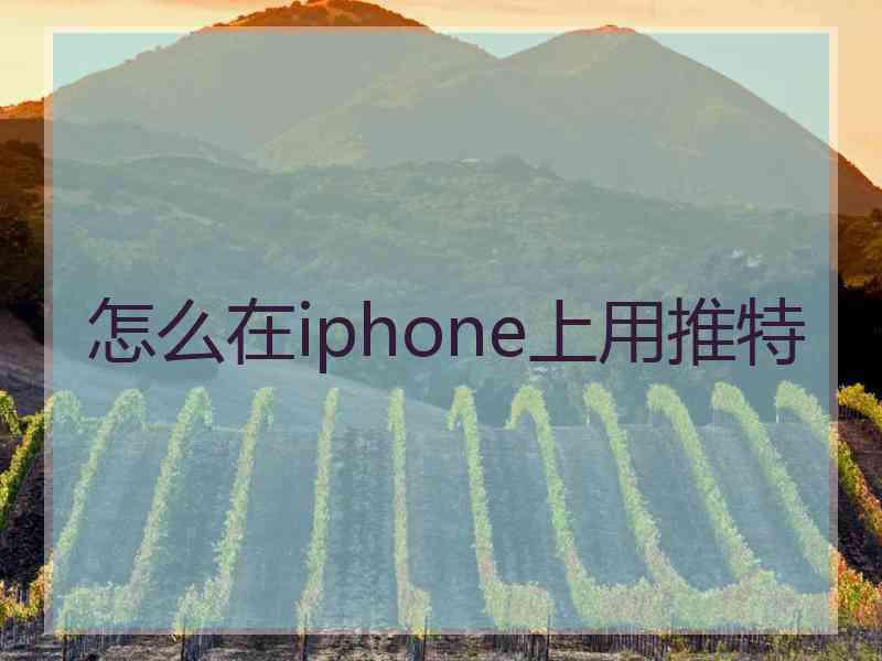 怎么在iphone上用推特