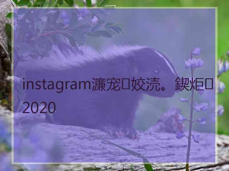 instagram濂宠姣涜。鍥炬2020